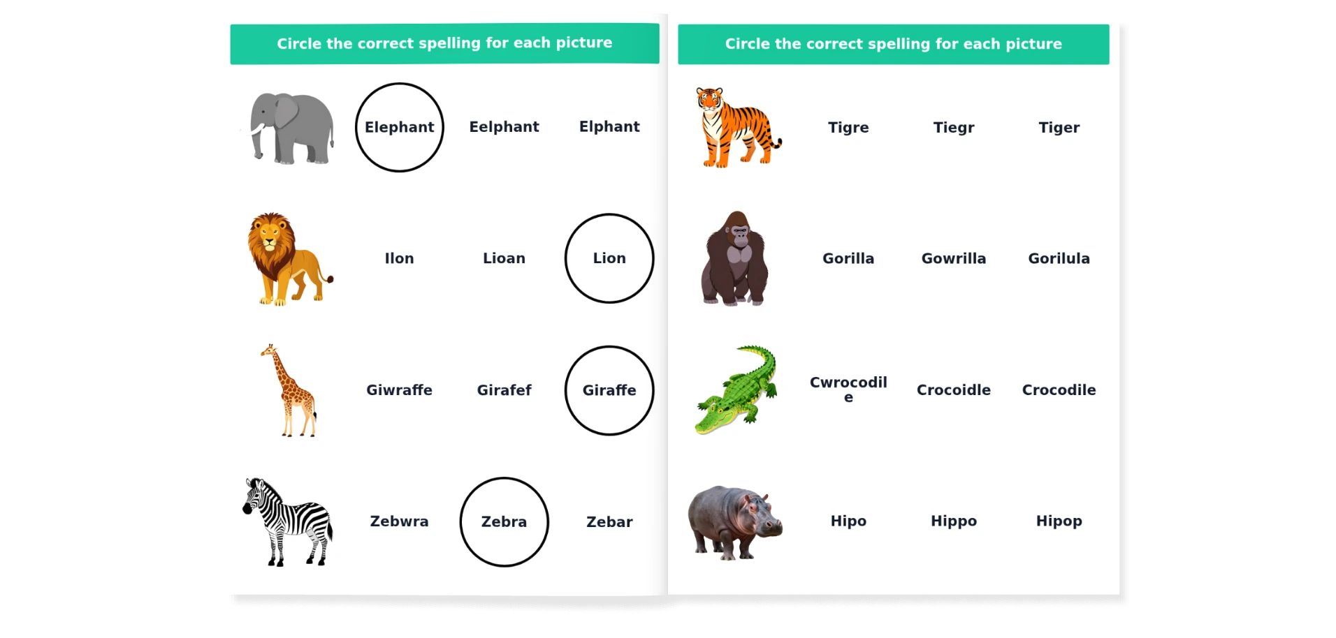 Choose the correct word - animal edition - Image 3