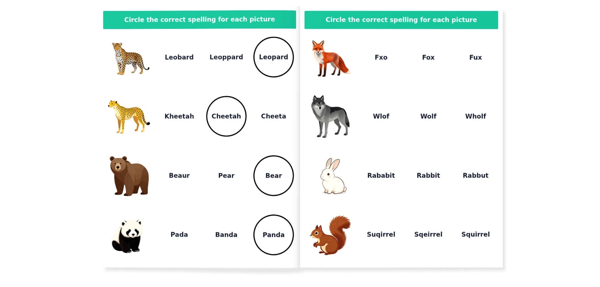 Choose the correct word - animal edition - Image 2